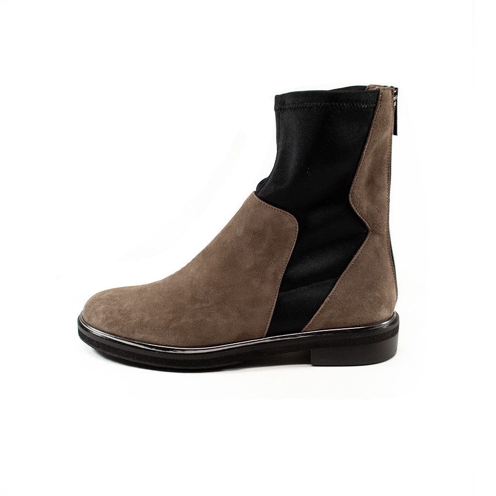 C373 Ausilia